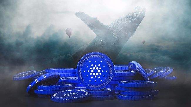 كاردانو (ADA) في المنطقة الحمراء: التحديات تستمر تحت $1.00 - اكتشف المزيد الآن!