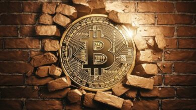 بيتكوين تتجاوز 100 ألف دولار مع تراجع مخاوف التضخم قبيل تنصيب ترامب: اكتشف التفاصيل