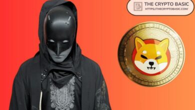 قائد شيبا إينو يصدر تحذيرًا هامًا حول رمز TREAT المزيف - اكتشف الحقيقة الآن!