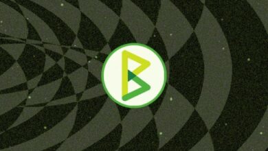 مؤسسة BTCPay Server تتلقى منحة بقيمة 25,000 دولار بالبيتكوين من Unbank - اكتشف التفاصيل الآن!