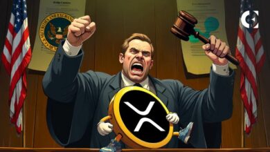 ريبل ضد لجنة الأوراق المالية: هوغان يستهدف أخطاء مذكرة الصديق للهيئة – اكتشف التفاصيل الآن!