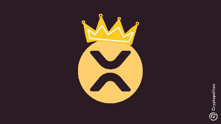 ريبل XRP تتصدر أصول الـ 50 الأعلى في المكاسب السنوية - اكتشف المزيد