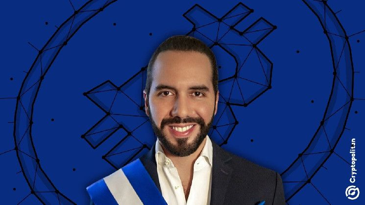 نجيب بوكيلي يسخر من السناتور السابق مينينديز بسبب كراهيته للبتكوين بعد حكم السجن - اكتشف التفاصيل الآن!