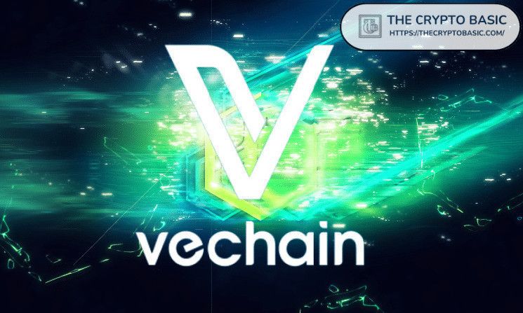 مؤسس VeChain يكشف عن خطة الفريق الطموحة لـ2025 - اكتشف التفاصيل!