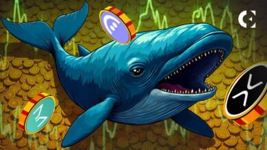 إليك أفضل 10 أصول مشفرة حسب معاملات الحيتان هذا الأسبوع - اكتشف التفاصيل الآن!