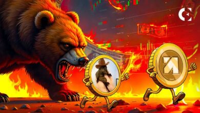 كيف سيكون أداء PNUT وANIME بعد كسر مستويات الدعم الرئيسية؟ اكتشف التفاصيل الآن!