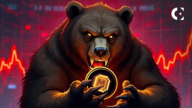 عملة MEME تتراجع بنسبة 11% وسط هيمنة الدببة: مستويات رئيسية يجب مراقبتها