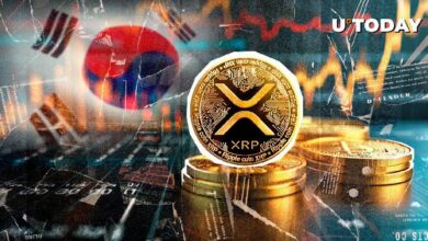 لغز XRP بقيمة 95 مليون دولار يذهل أكبر بورصة في كوريا: هل تستعد لموسم صعودي؟ اكتشف المزيد!