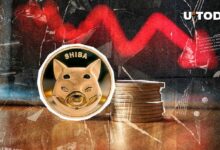 سعر شيبا إينو (SHIB) على وشك إيجاد القاع الثاني – اكتشف المزيد الآن