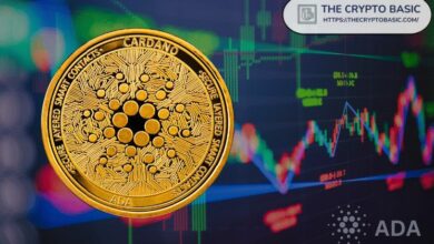 "يقول المحللون إن كاردانو لديه أحد أفضل الرسوم البيانية - اكتشف التفاصيل الآن"