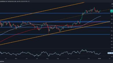 هل سعر البيتكوين سيتجاوز 100 ألف دولار قريباً؟ (تحليل سعر BTC)