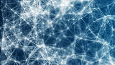 "الافتراضيون يخططون لإنشاء احتياطي استراتيجي من سولانا داخل نظام سولانا البيئي - اكتشف التفاصيل الآن"