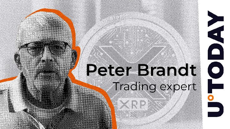 متداول أسطوري بيتر براندت يكتشف علم الثور لـ XRP: "إذا ارتفع XRP، أريد الدخول في الصفقة!"