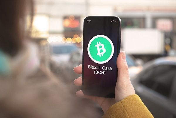 توقعات سعر بيتكوين كاش: هل سيصل BCH إلى 700 دولار؟ اكتشف الآن!