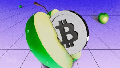 تراجع زخم سعر البيتكوين (BTC) بعد بلوغ قمة تاريخية جديدة - اكتشف الأسباب!