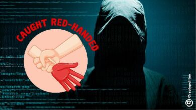 زاخ إكس بي تي ينشر تسجيل فيديو لمحتال بوت تليجرام "سافغارد" المزيف المسجون - شاهد الآن!