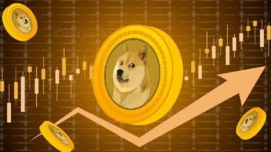 دوجكوين (DOGE) تحافظ على مستوى حاسم، هل ستشهد ارتفاعًا بنسبة 25٪؟