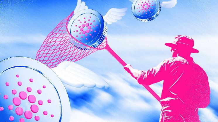 كاردانو (ADA) ترتفع بنسبة 20% في أسبوع، لكن إشارات الاتجاه الضعيف توحي بالتوحيد - اكتشف المزيد!