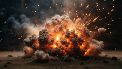 آرثر هايز يتوقع انفجار ميم كوين مع تمهيد ترامب الطريق لتايلور سويفت وبيونسيه - اكتشف الفرص الآن!