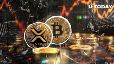 مؤشرات بولينجر تحذر من تراجع XRP أمام بيتكوين - اكتشف المزيد!