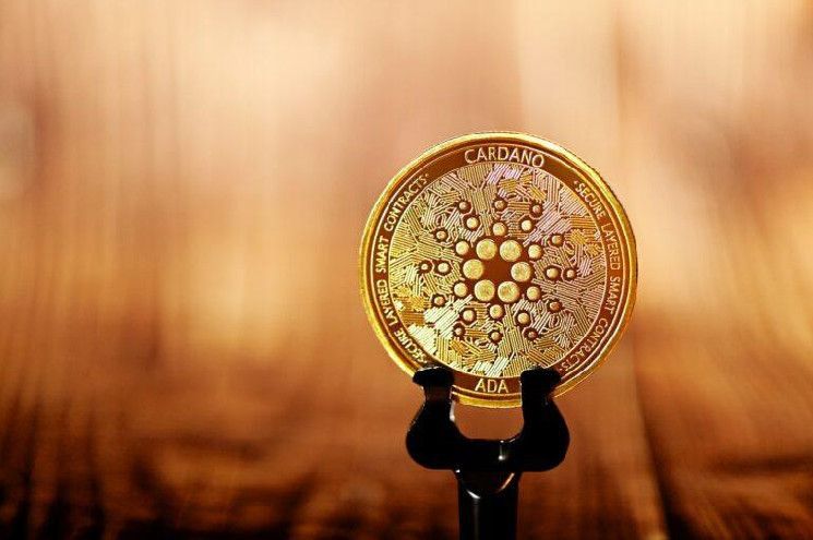 شبكة كاردانو تتجاوز 50,000 عنوان نشط يومياً رغم انخفاض سعر ADA - اكتشف التفاصيل!