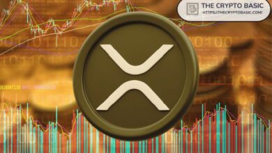 هذا هو سعر XRP الذي يمكن لأغنى 5% من حامليه تحقيق الثراء به!