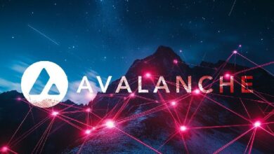 "اكتشف نمو أفالانش في الولايات المتحدة عبر تقنيات الذكاء الاصطناعي والبلوكشين"