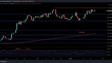 تحليل سعر البيتكوين: ما الذي ينتظر BTC في طريقه نحو 120 ألف دولار؟ اقرأ الآن!
