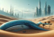 حوت عملاق يقع في فخ FOMO! حقق ربحاً في واحدة فقط من 13 صفقة عملات بديلة، وتعرض لخسارة كبيرة... اكتشف المزيد!