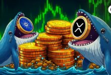 الحيتان تقود ارتفاع XRP و ADA: هل تسجل العملات أعلى مستوياتها؟ اكتشف الآن!