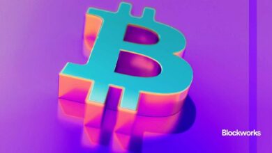 تحليل السوق بعد تراجع البيتكوين الأخير - اكتشف التفاصيل الآن