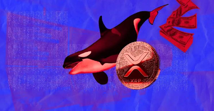 أخبار XRP: الحيتان تضخ 120 مليون في الدفعة الأخيرة لسوق الريبل - اكتشف التفاصيل!