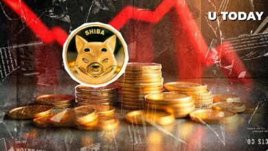 سعر شيبا إينو (SHIB) قد يكون وصل إلى القاع، مؤشر شائع يشير بذلك – اكتشف التفاصيل الآن!