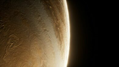 استحواذات جوبيتر وخطة إعادة الشراء تثير مخاوف من هيمنة سولانا على النظام البيئي - اكتشف المزيد!