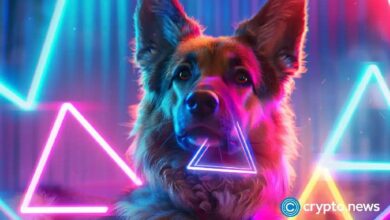 ارتفاع أسعار توشي وكايبورد كات وباسنجي مع زيادة حجم التداول في Base DEX - اكتشف التفاصيل الآن!