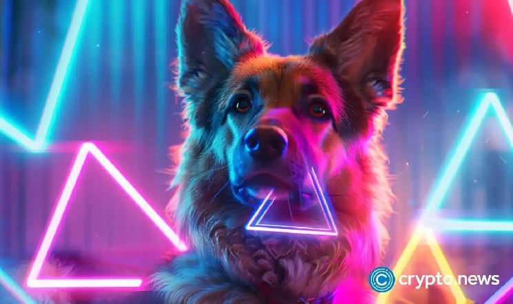 ارتفاع أسعار توشي وكايبورد كات وباسنجي مع زيادة حجم التداول في Base DEX - اكتشف التفاصيل الآن!