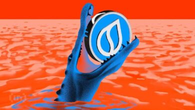 المحقق في سلسلة الكتل ZachXBT يكشف عن استغلال بتوكن SUI بقيمة 29 مليون دولار - تعرف على التفاصيل!