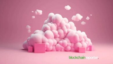 تعرف على كيفية تبسيط ZNS Connect لنظام Web3 بالتعاون مع شبكة Conflux