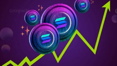 استعدوا لارتفاع سولانا (SOL) بنسبة 22%، لكن بيع المستثمرين يثير القلق!