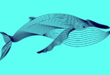 المستثمرون الضخمون يشترون XRP وDogecoin بقيمة 2,698,860,000 دولار في يومين فقط - اكتشف التحليل الكامل!