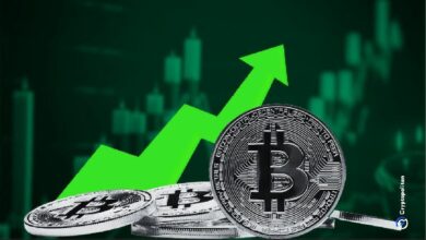 بيتكوين تعود لصعودها وتبلغ 97 ألف دولار مع دفع بيانات التضخم الأمريكي للمخاطرة: اكتشف الأسباب الآن!