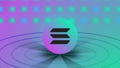 هل سيصل سولانا (SOL) إلى 1000 دولار: هل يمكن للزخم الإيجابي أن يستمر بعد ضجة الميم؟ اكتشف الآن!