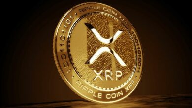 تحديث سوق XRP: السعر يقفز إلى $3.30، يقترب من أعلى مستوى تاريخي في 2018! اكتشف التفاصيل الآن