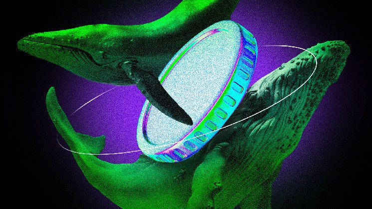 الحيتان الرقمية تشترى هذه العملات الرقمية البديلة في الأسبوع الثالث من يناير 2025: اكتشفها الآن!