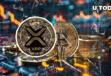 دعم بولينجر باندز: اكتشف كيف تتفوق XRP على البيتكوين الآن!