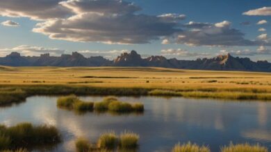 وايومنغ تقدم مشروع قانون لإنشاء احتياطي استراتيجي للبيتكوين - اكتشف التفاصيل!