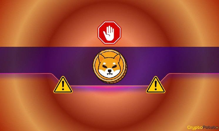 شيبا إينو (SHIB) ينخفض دون الدعم الحاسم ليصل لأدنى مستوى في 3 أشهر: ما الخطوة التالية؟ اكتشف الآن!