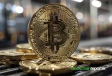 شبكة أومنيتي تكشف عن بيئة مبتكرة لتبادل الرونز للبتكوين - اكتشف الآن!