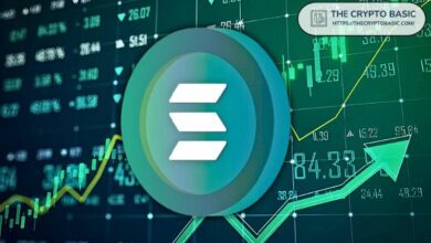 تحليل سعر سولانا: هل سيتجاوز سعر SOL الـ300 دولار هذا الأسبوع؟ اكتشف الآن!