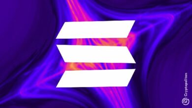 سولانا تقترح نموذج انبعاث متغير للحد من التضخم - اكتشف المزيد!